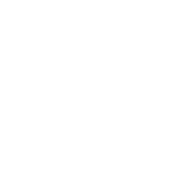 auto-kaufbegleitung-berner-logo
